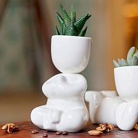 набор для выращивания eco йог в Благовещенске