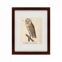 картина: one owl, 1560 в Благовещенске