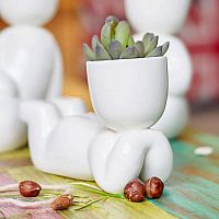 набор для выращивания eco мечтатель в Благовещенске