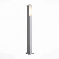 Уличный светодиодный светильник ST Luce Posto SL096.555.02