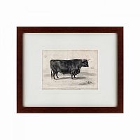 картина: a west highland bull, 1840 в Благовещенске