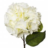 Гортензия белая 62см (12)