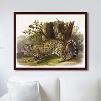 картина: jaguar, 1841г. в Благовещенске