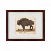 картина: bison, 1560 в Благовещенске