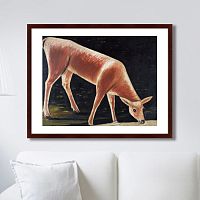 картина: roe deer drinking from a stream, 1901г. в Благовещенске