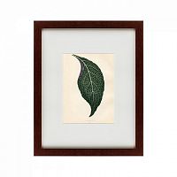 картина: the leaf, 1871 в Благовещенске