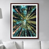 картина: deep forest в Благовещенске