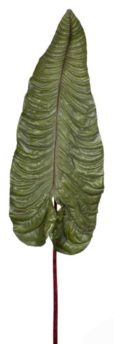 декор alocasia в Благовещенске