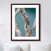 картина: trees on the galapagos islands, ecuador no3 в Благовещенске