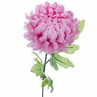 Хризантема розовая 63 см (24)
