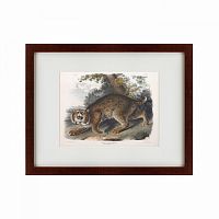 картина: bobcat, 1839 в Благовещенске