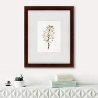 картина: pear tree flowers (pyrus calleryana), 1830 в Благовещенске