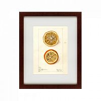 картина: watercolor collection, drawing №5, 1910 в Благовещенске