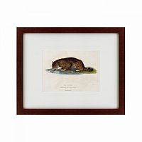 картина: a panther drinking, 1830 в Благовещенске