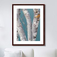 картина: trees on the galapagos islands, ecuador no1 в Благовещенске