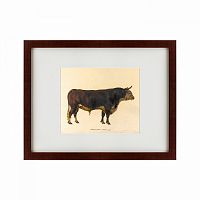 картина: the bull, 1797 в Благовещенске