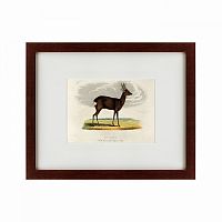 картина: a roebuck, 1830 в Благовещенске