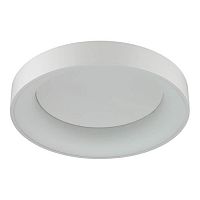 потолочный светодиодный светильник odeon light sole 4062/40cl в Благовещенске