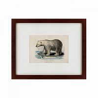 картина: white polar bear on an ice, 1830 в Благовещенске