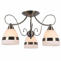 потолочная люстра arte lamp 55 a6192pl-3ab в Благовещенске