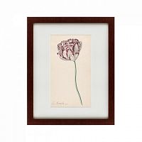 картина: tulp №2, 1815 в Благовещенске
