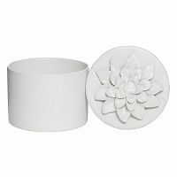 шкатулка для украшений white ii - н* в Благовещенске