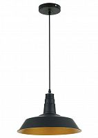 подвесной светильник odeon light kasl 3378/1 в Благовещенске