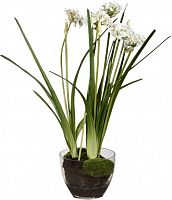 декор allium в Благовещенске