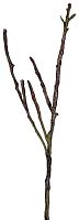 декор dry branches в Благовещенске