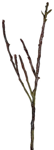 декор dry branches в Благовещенске