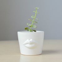 набор для выращивания eco мини-кашпо «губы» в Благовещенске