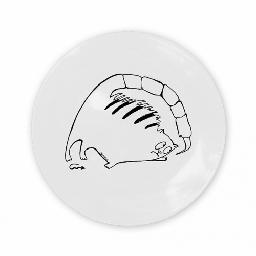 тарелка кот-скорпион в Благовещенске