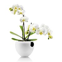 горшок для орхидеи orchid pot белый в Благовещенске