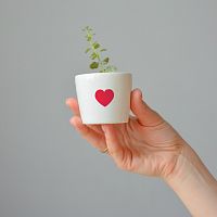 набор для выращивания eco мини-кашпо «сердце» в Благовещенске