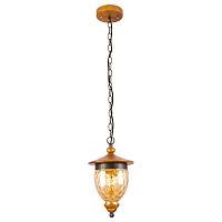 подвесной светильник arte lamp catena a6711sp-1br в Благовещенске