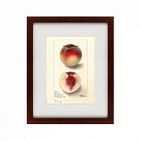 картина: watercolor collection, drawing №4, 1905 в Благовещенске