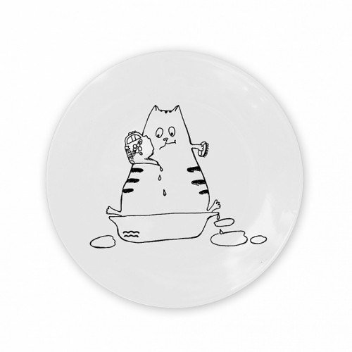 тарелка кот-водолей в Благовещенске