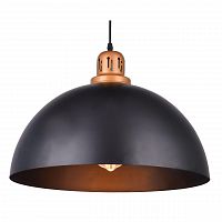 подвесной светильник arte lamp eurica a4249sp-1bk в Благовещенске