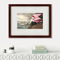 картина: roseate spoonbill, 1827 в Благовещенске