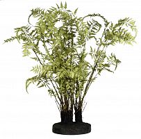 декор ferns в Благовещенске