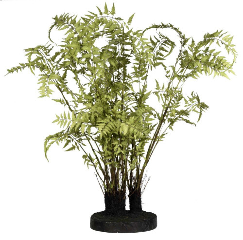 декор ferns в Благовещенске
