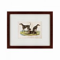 картина: three african bloodhounds, 1830 в Благовещенске