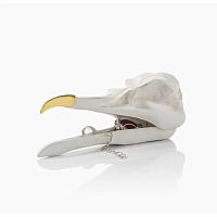 шкатулка для украшений bird skull (белый) в Благовещенске