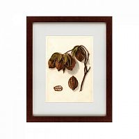 картина: watercolor collection, drawing №3, 1909 в Благовещенске