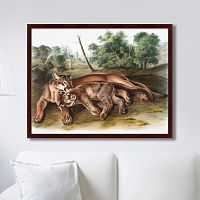 картина: the cougar, 1850г. в Благовещенске