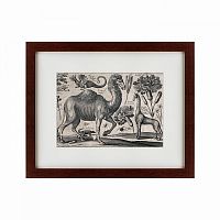 картина: a camel, 1670 в Благовещенске