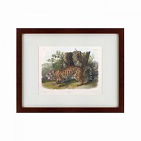 картина: jaguar, 1841 в Благовещенске