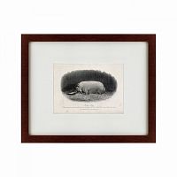 картина: a prize boar, 1867 в Благовещенске