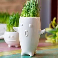 ваза eco тиль в Благовещенске