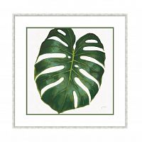 постер monstera зеленый в Благовещенске